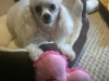 lola
