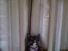 fred