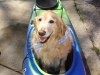 gracie-in-kayak